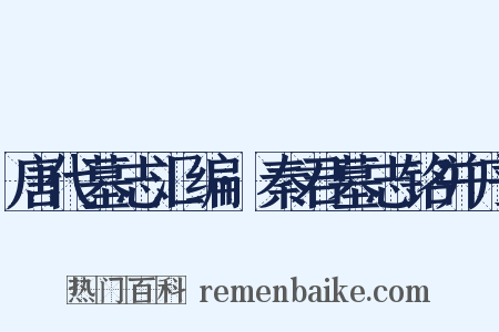 唐代墓志汇编·秦君墓志铭并序是什么意思的图片